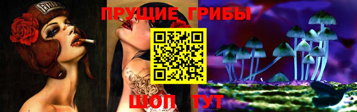 Галлюциногенные грибы Psilocybine cubensis Курск